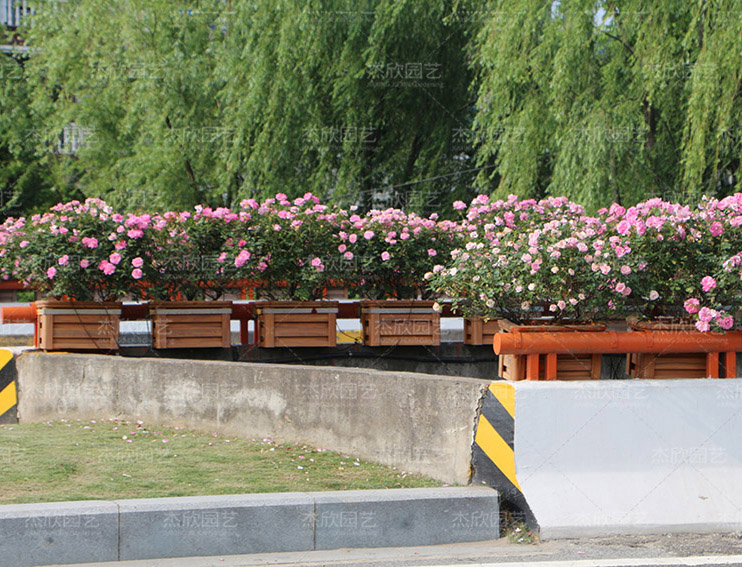 不銹鋼花箱有哪些功能？